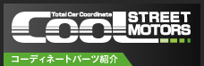 使用しているコーディネートパーツ紹介